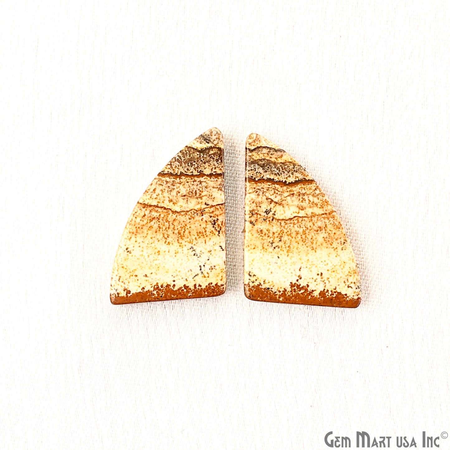 Picture Jasper Free Form Shape 23x17mm Loose Gemstone For Earring Pair