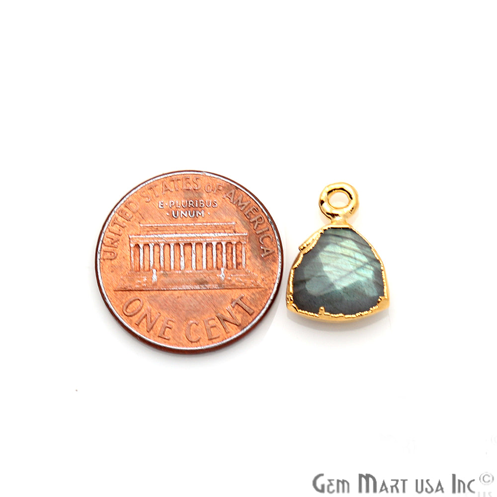 Labradorite 10mm Trillion Gold Edged Bail Gemstone Connector - GemMartUSA