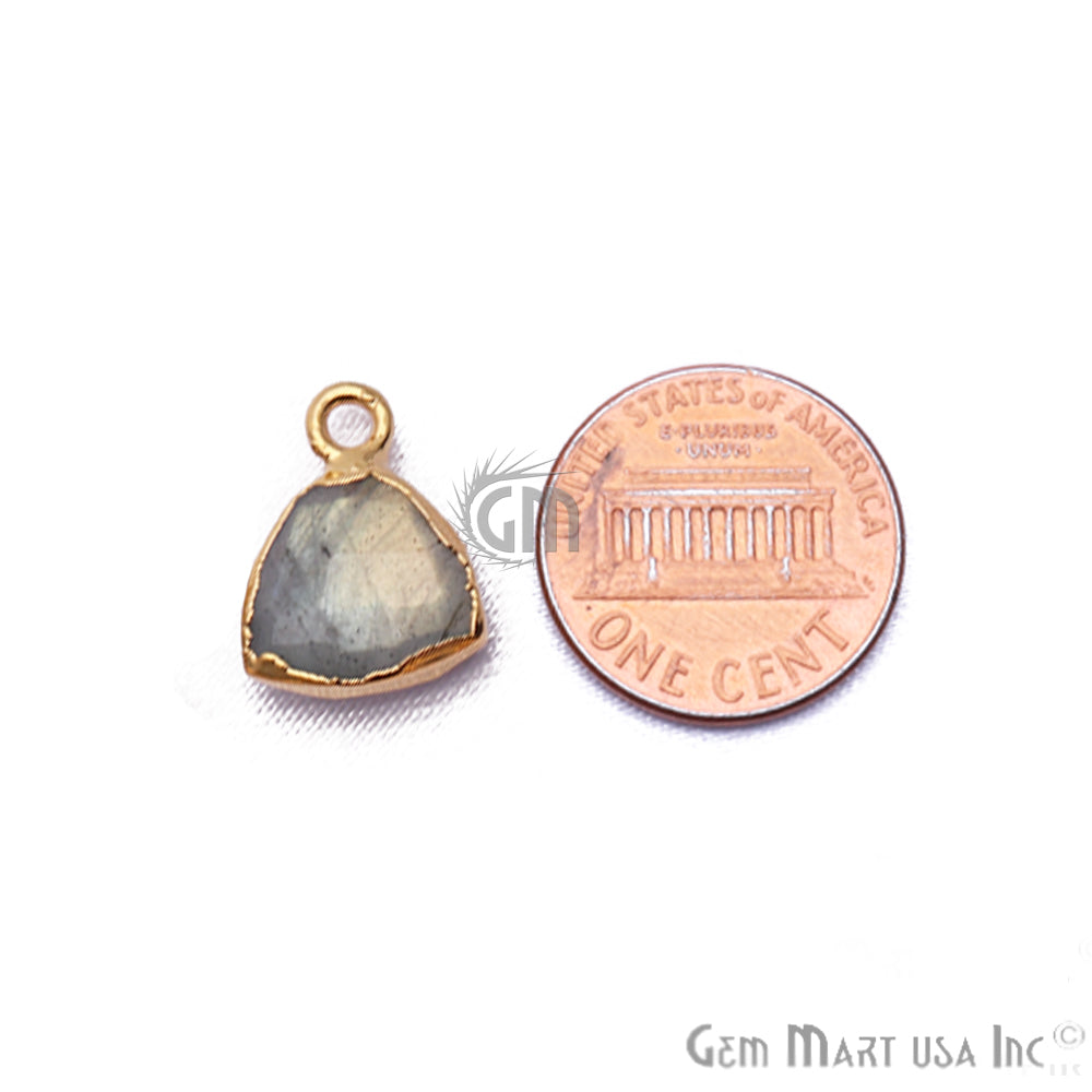 Labradorite 10mm Trillion Gold Electroplated Gemstone Connector
