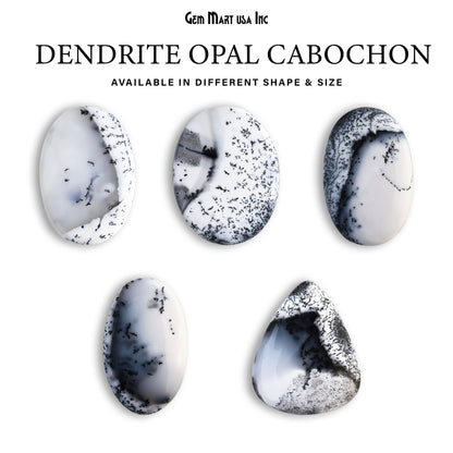 Natural Dendrite Opal Cab Striped Cabochon Gemstones