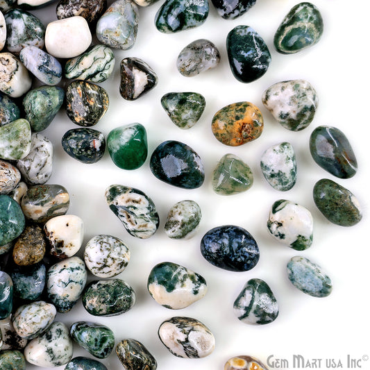 Tree Agate Tumbled Stone Kit Wholesale Bulk Lot of Natural Gemstone for Reiki & Chakra Healing Mix Assorted Tumbled Stone