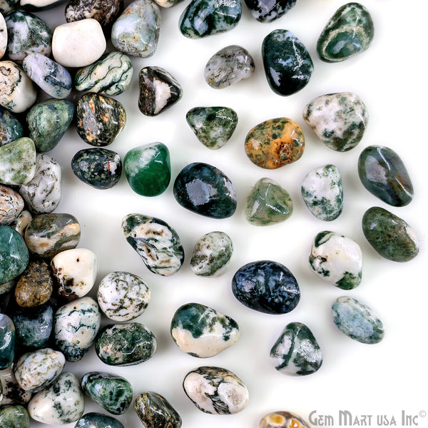 Tree Agate Tumbled Stone...