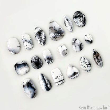 Dendrite Opal Mix Shape Cabochon, Natural AAA+ Dendrite Opal, Black & White Healing Crystal for Jewelry Making