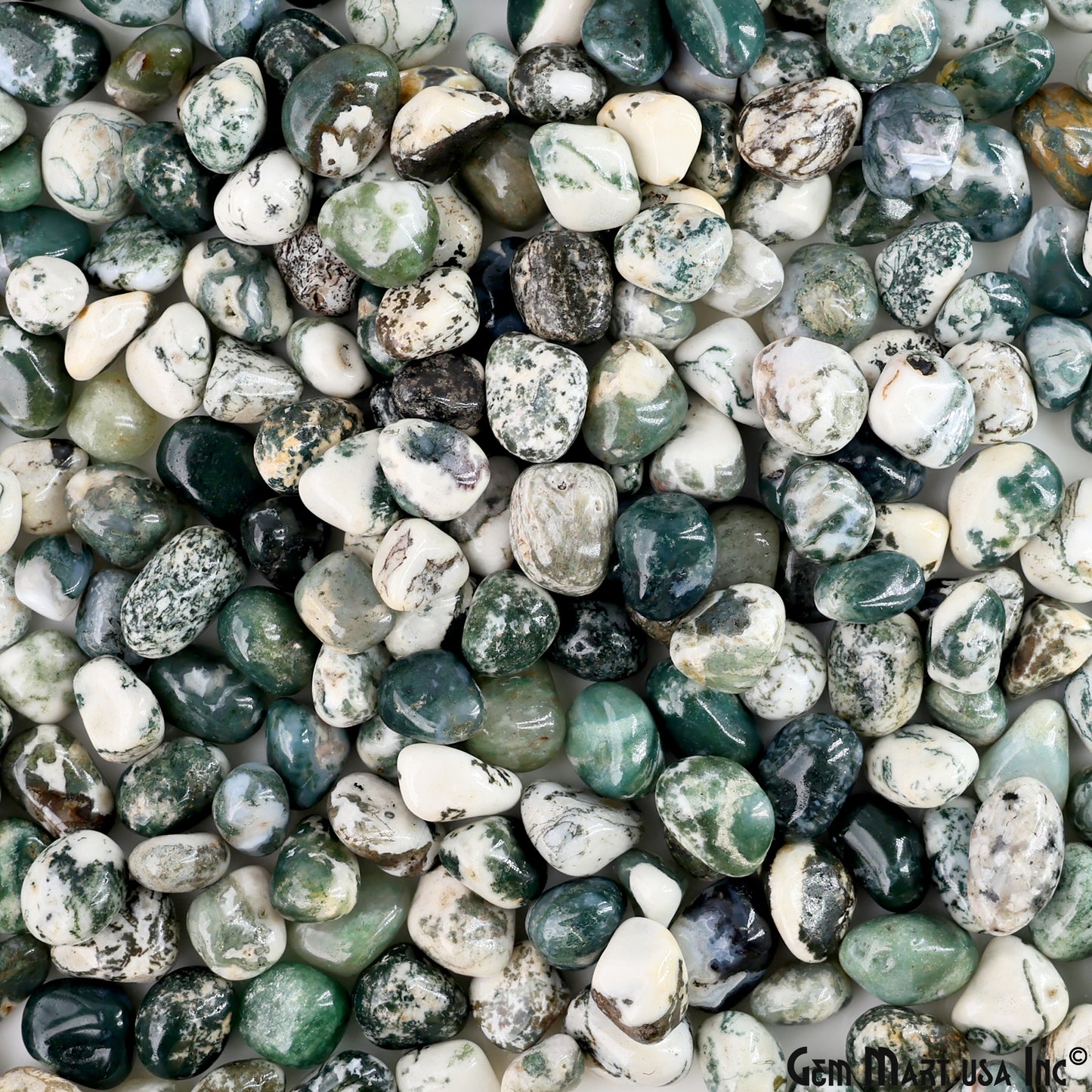 Tree Agate Tumbled Stone Kit Wholesale Bulk Lot of Natural Gemstone for Reiki & Chakra Healing Mix Assorted Tumbled Stone