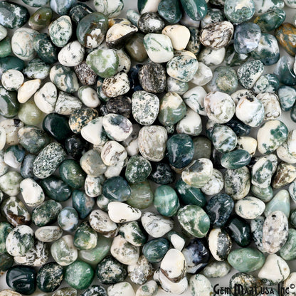 Tree Agate Tumbled Stone Kit Wholesale Bulk Lot of Natural Gemstone for Reiki & Chakra Healing Mix Assorted Tumbled Stone