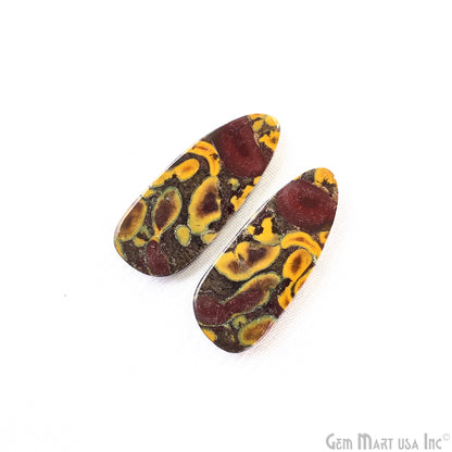 Fruit Jasper Free Form Shape 33x14mm Loose Gemstone For Earring Pair