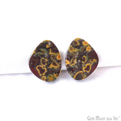 Fruit Jasper Free Form Shape 24x20mm Loose Gemstone For Earring Pair