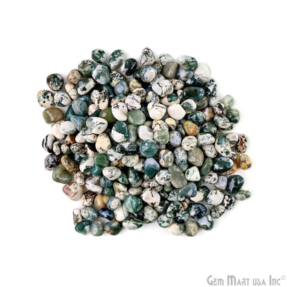 Tree Agate Tumbled Stone Kit Wholesale Bulk Lot of Natural Gemstone for Reiki & Chakra Healing Mix Assorted Tumbled Stone