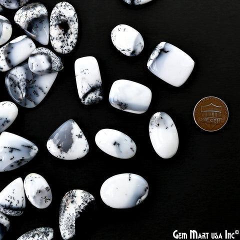 Dendrite Opal Mix Shape Cabochon, Natural AAA+ Dendrite Opal, Black & White Healing Crystal for Jewelry Making