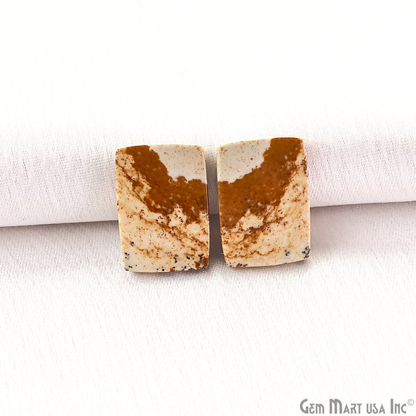 Picture Jasper Free Form...