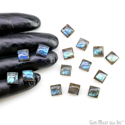 Labradorite Wholesale Gemstones, 100% Natural Semi-Precious Gems, Blue Flash Cabochon Loose Gems, 10mm, Square, 4PC Lot