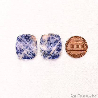 Sodalite Free Form 22x19mm Loose Gemstone For Earring Pair