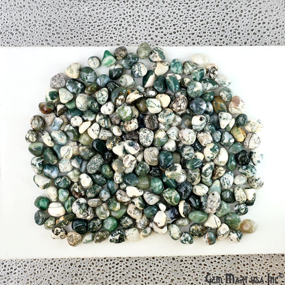 Tree Agate Tumbled Stone Kit Wholesale Bulk Lot of Natural Gemstone for Reiki & Chakra Healing Mix Assorted Tumbled Stone