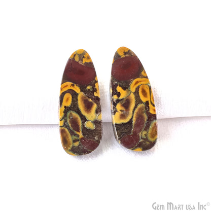 Fruit Jasper Free Form Shape 33x14mm Loose Gemstone For Earring Pair