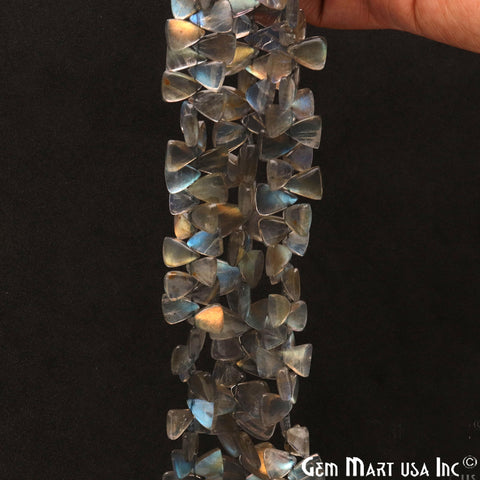 Labradorite Triangle 12x8mm Cabochon Crafting Beads Gemstone Strands 8 Inch - GemMartUSA