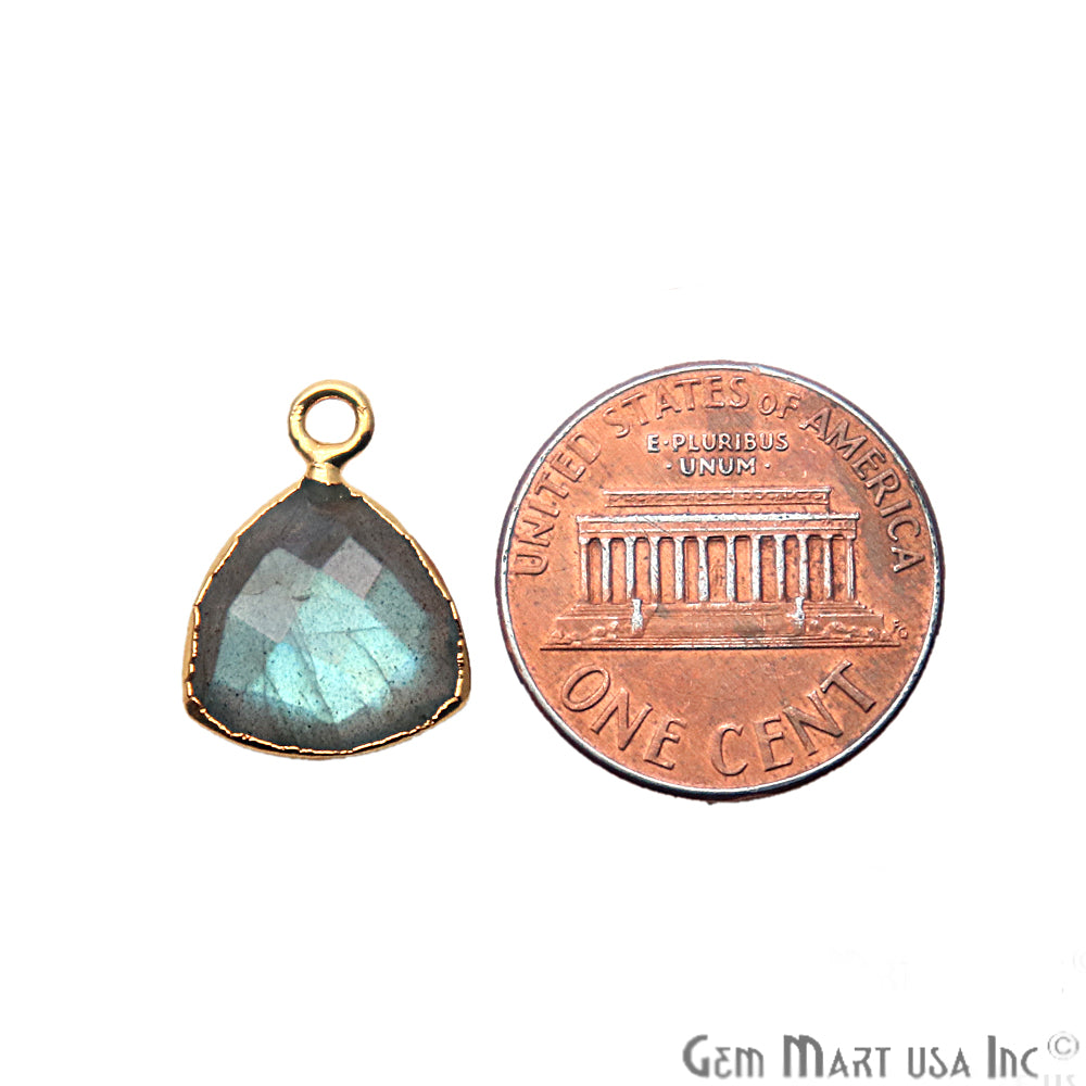 Labradorite 12mm Trillion Gold Electroplated Single Bail Gemstone Connector - GemMartUSA