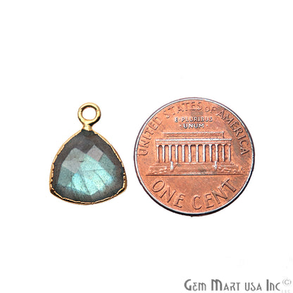 Labradorite 12mm Trillion Gold Electroplated Single Bail Gemstone Connector - GemMartUSA