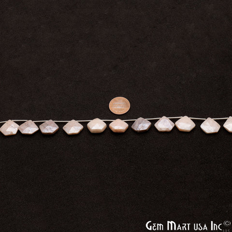 Coated Moonstone Freeform 20x16mm Crafting Beads Gemstone Briolette Strands 8 Inch - GemMartUSA