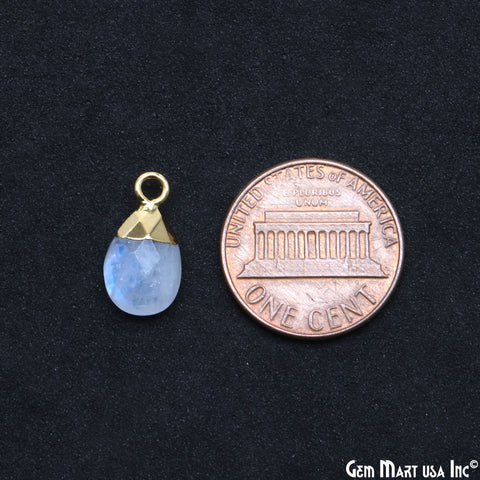 Rainbow Moonstone Pears 8x12mm Gold Electroplated Single Bail Connector