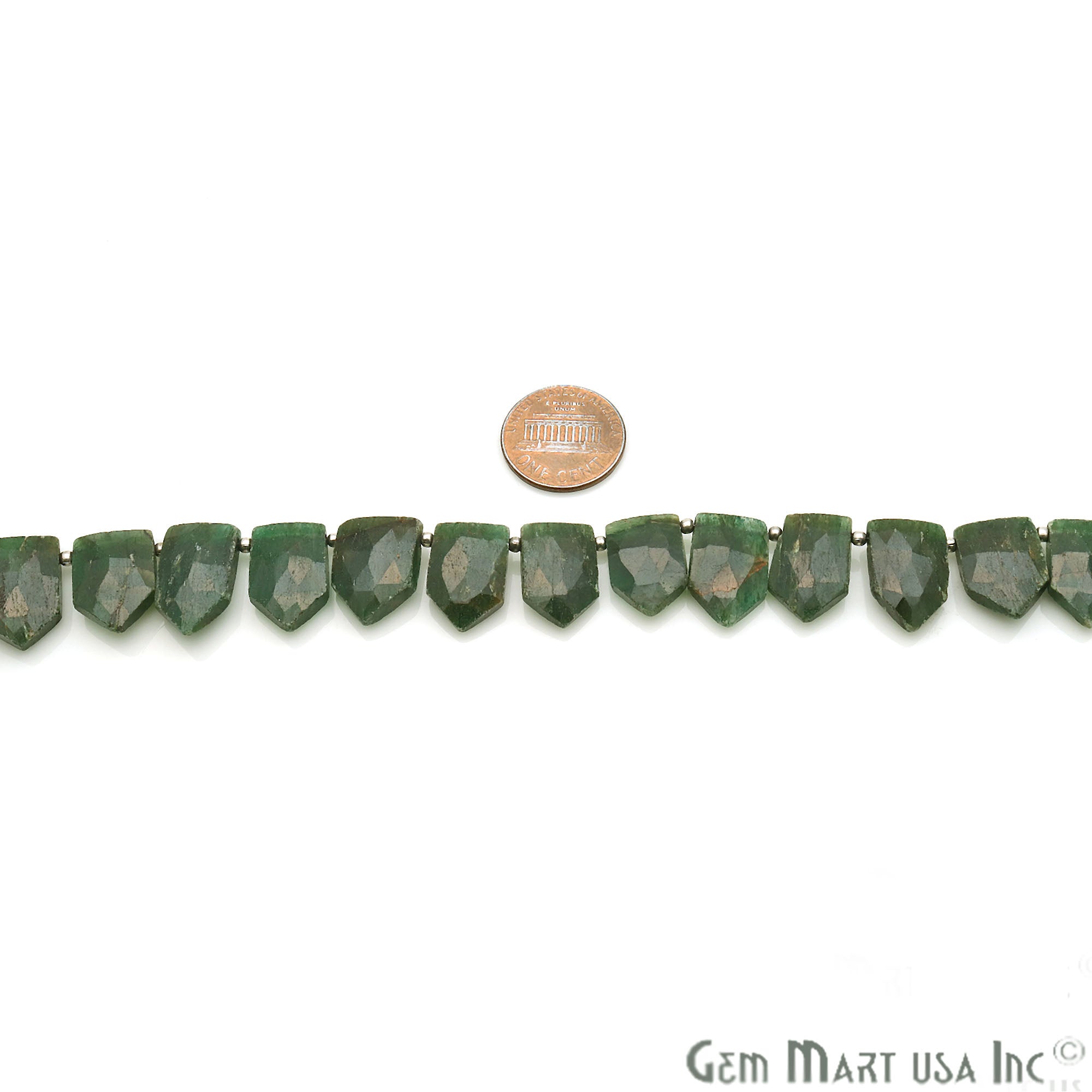 Blood Stone Pentagon 18x12mm Crafting Beads Gemstone Briolette Strands 8 Inch - GemMartUSA
