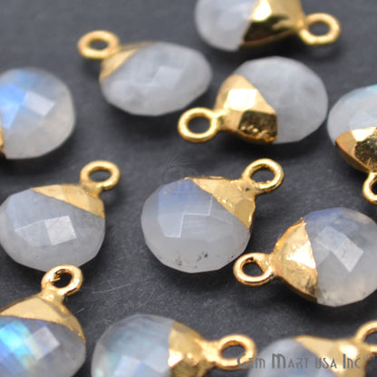 Rainbow Moonstone 10mm Onion Gold Electroplated Single Bail Connector - GemMartUSA