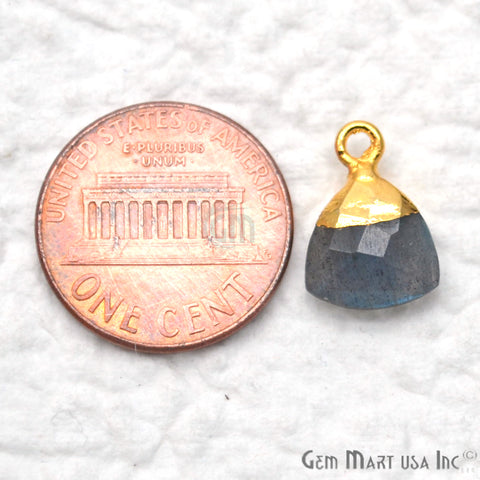 Labradorite 10mm Trillion Gold Electroplated Single Bail Gemstone Connector - GemMartUSA