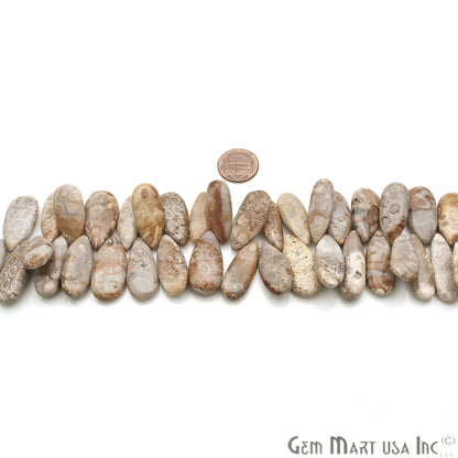 Fossil Coral Pears 28x13mm Crafting Beads Gemstone Strands 8INCH - GemMartUSA