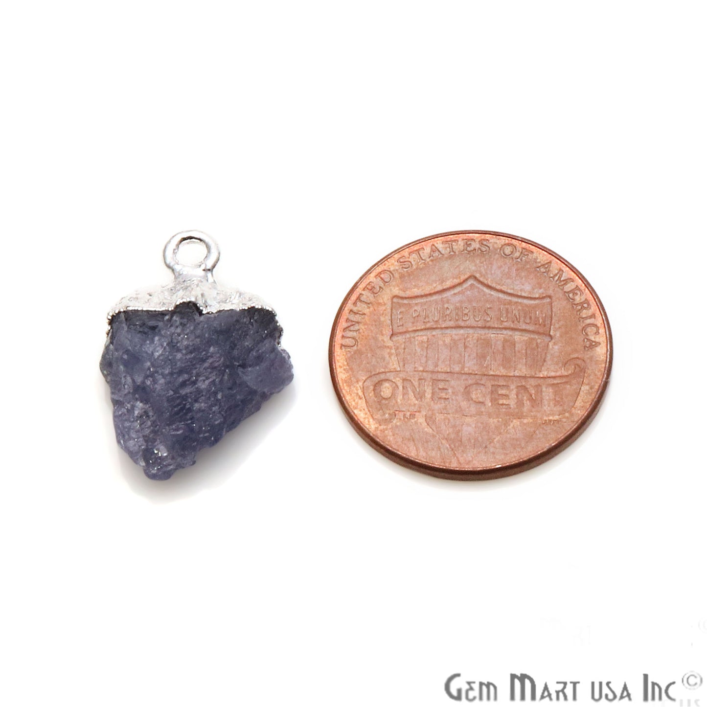 Rough Tanzanite Organic 19x12mm Silver Electroplated Gemstone Connector - GemMartUSA