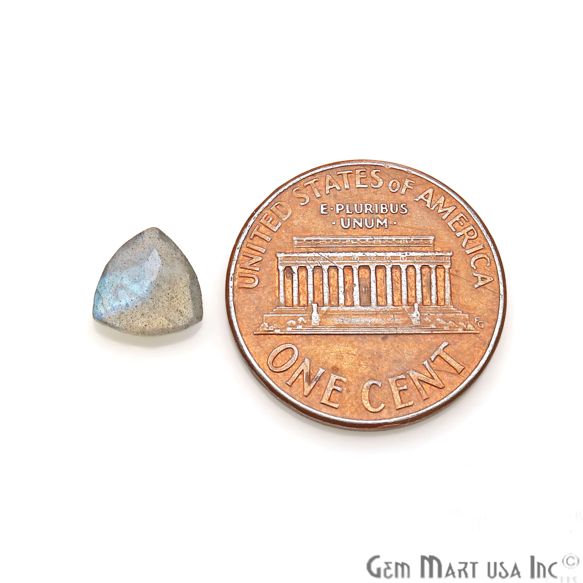 Labradorite Trillion Shape 7mm Faceted Loose Gemstone - GemMartUSA