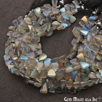 Labradorite Triangle 10x7mm Cabochon Crafting Beads Gemstone Strands 8 Inch - GemMartUSA