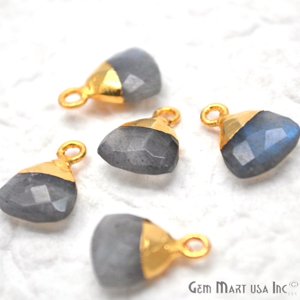 Labradorite 10mm Trillion Gold Electroplated Single Bail Gemstone Connector - GemMartUSA