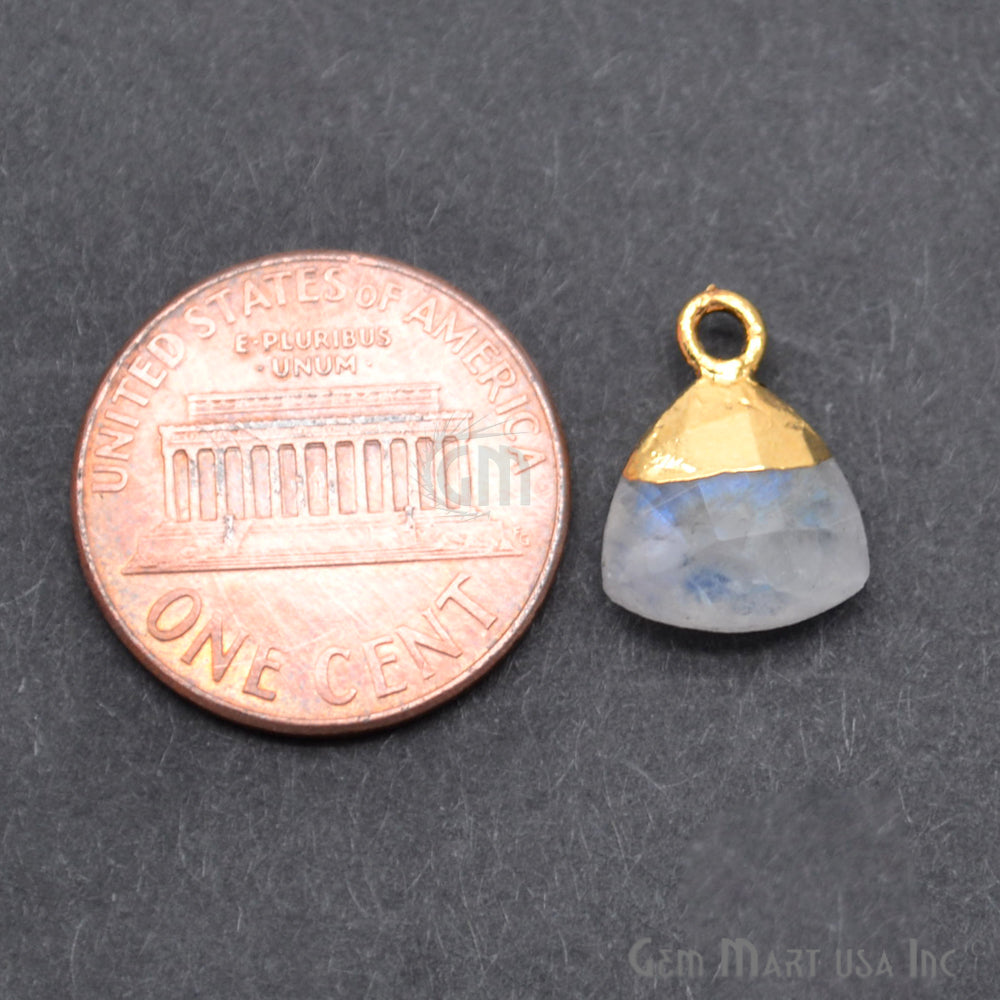 Rainbow Moonstone 10mm Trillion Gold Edged Single Bail Gemstone Connector - GemMartUSA