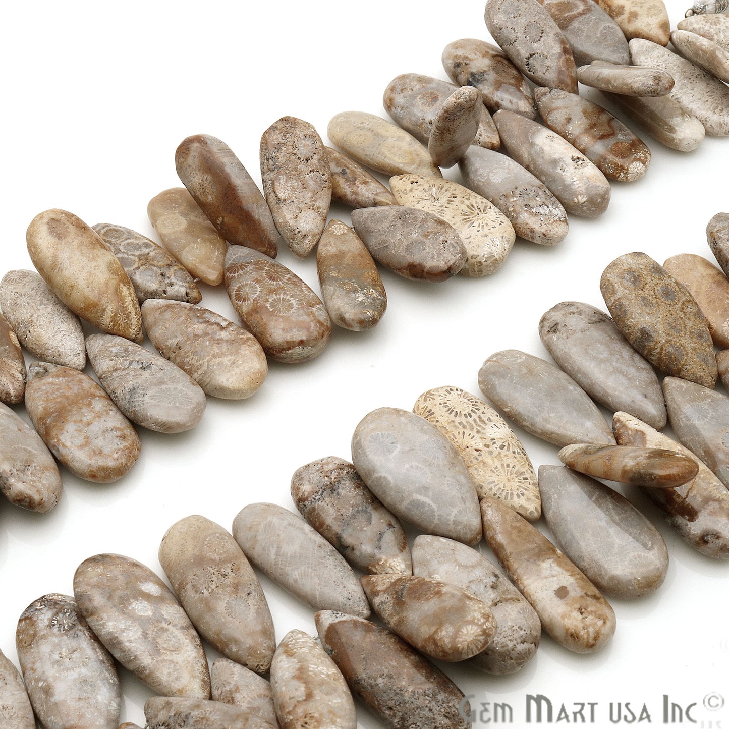 Fossil Coral Pears 28x13mm Crafting Beads Gemstone Strands 8INCH - GemMartUSA