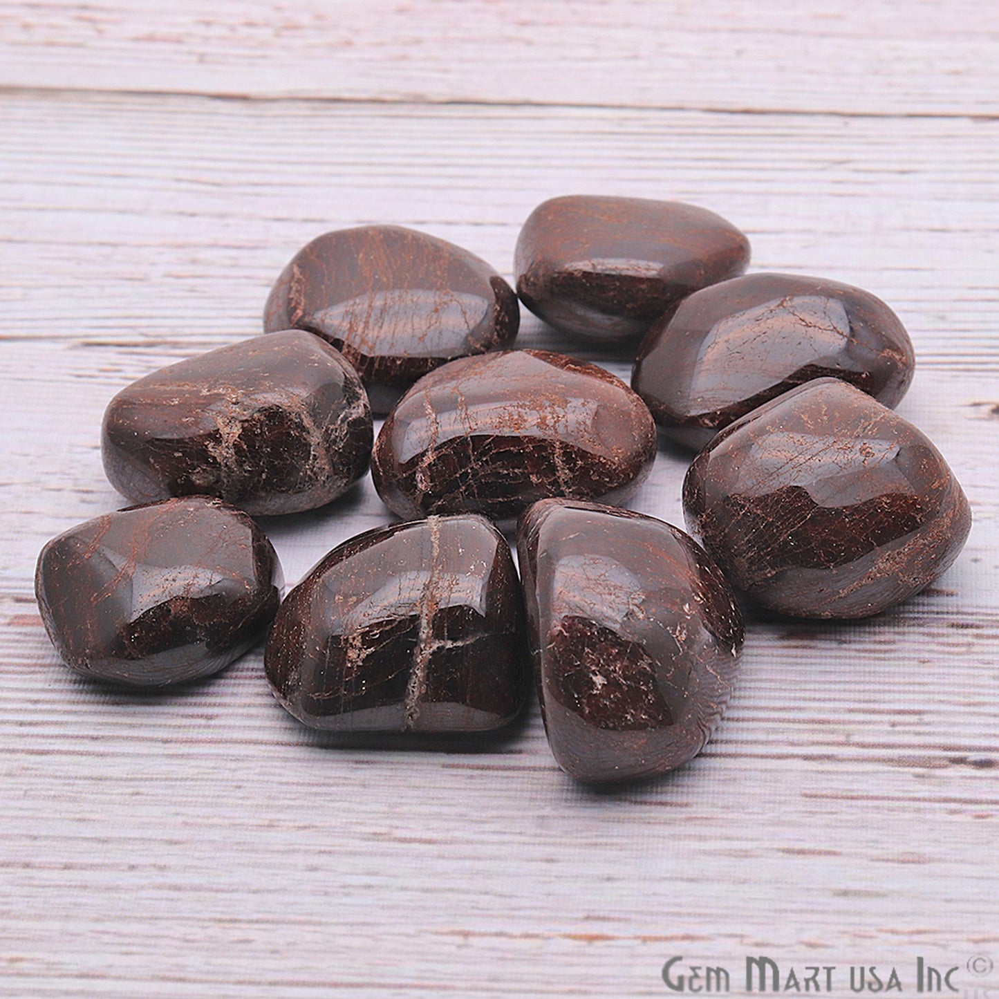 3.53oz Lot Brown Agate Tumbled Reiki Healing Metaphysical Beach Spiritual Gemstone - GemMartUSA