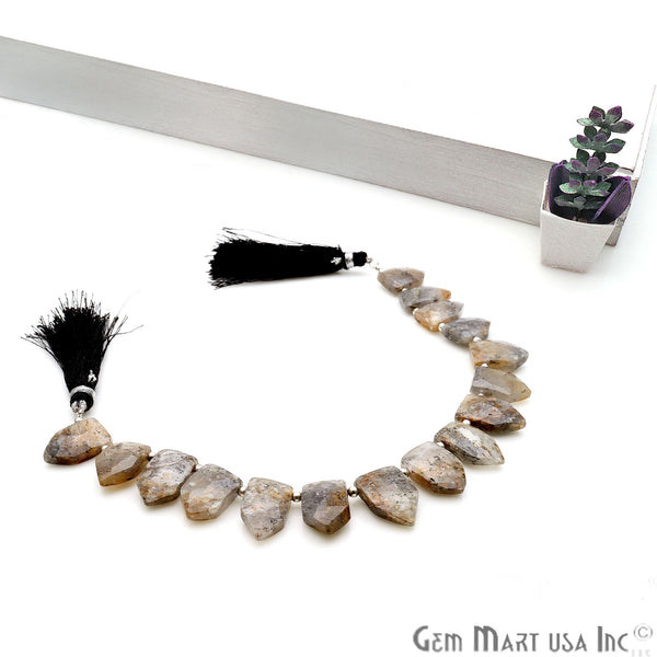 Black Sunstone Pentagon Beads,...