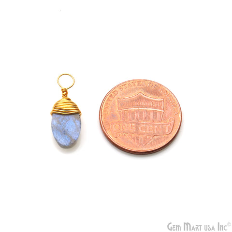 Labradorite Oval Shape 17x7mm Gold Wire Wrapped Connector