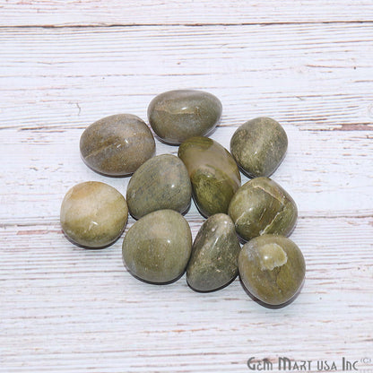 3.53oz Lot Light Green Agate Tumbled Reiki Healing Metaphysical Beach Spiritual Gemstone - GemMartUSA