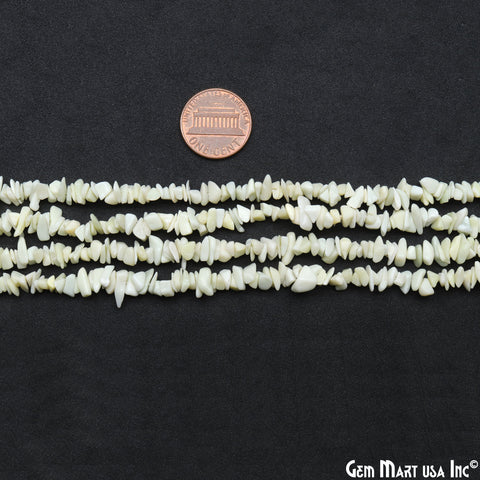 Single Strand 34 inches Serpentine Gemstones Chip Beads (754669715503)