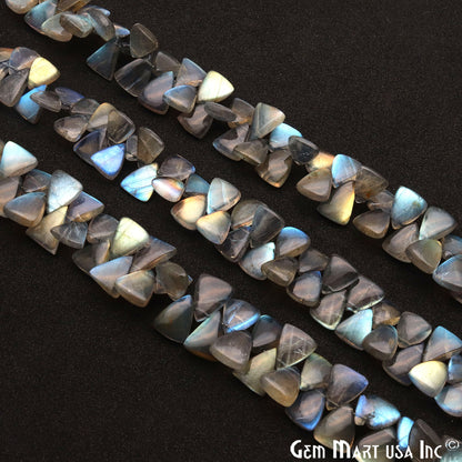 Labradorite Triangle 12x8mm Cabochon Crafting Beads Gemstone Strands 8 Inch - GemMartUSA