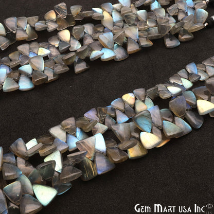 Labradorite Triangle 12x8mm Cabochon Crafting Beads Gemstone Strands 8 Inch - GemMartUSA