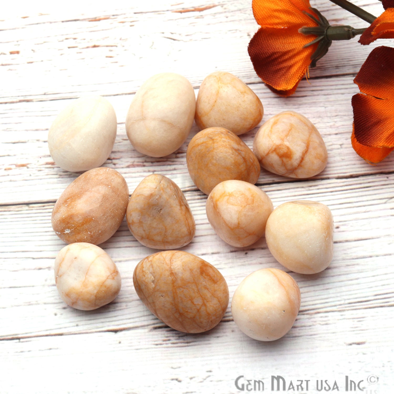 3.53oz Lot Yellow White Tumbled Reiki Healing Metaphysical Beach Spiritual Gemstone - GemMartUSA