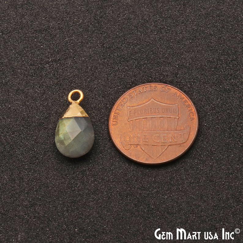 Labradorite 8x12mm Pears Single Bail Gold Electroplated Gemstone Connector - GemMartUSA