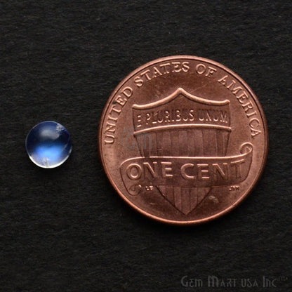 5pc Lot Rainbow Moonstone Blue Flash Cabochon 5mm Round June Birthstone Loose gemstones - GemMartUSA