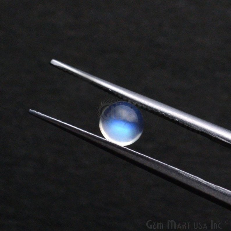 5pc Lot Rainbow Moonstone Blue Flash Cabochon 5mm Round June Birthstone Loose gemstones - GemMartUSA