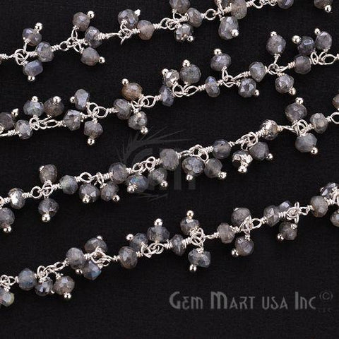 Mystique Labradorite Faceted Beads Silver Plated Cluster Dangle Chain (764230959151)