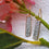 Silver Druzy Rectangle Shape 30x8mm Gold Hook Dangle Earring 1Pair - GemMartUSA
