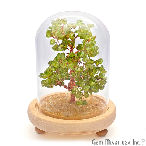 Peridot Handcrafted Tree Of Life, Glass Box Enclosed Tree, Home decor, Crystal encrusted Tree, Healing Gemstones, Ornamental Decoration - GemMartUSA