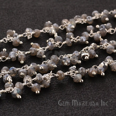 Mystique Labradorite Faceted Beads Silver Plated Cluster Dangle Chain - GemMartUSA (764230959151)